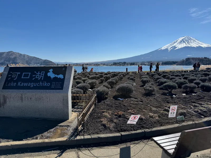 Lake Kawaguchiko sign with snow-capped Mount Fuji behind a shrub garden