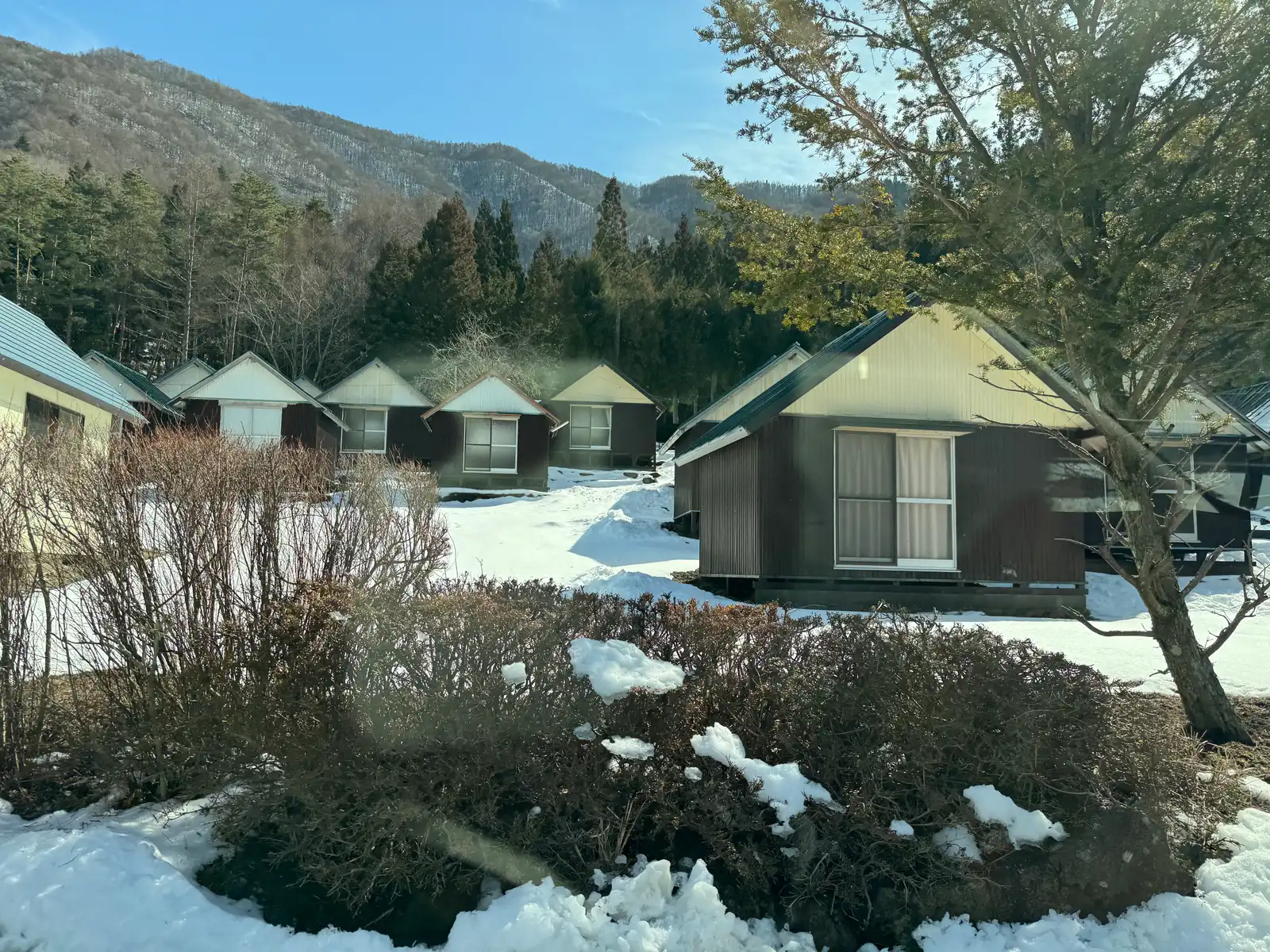 Brown wooden cabins in snow below a forested mountain at Kawaguchiko