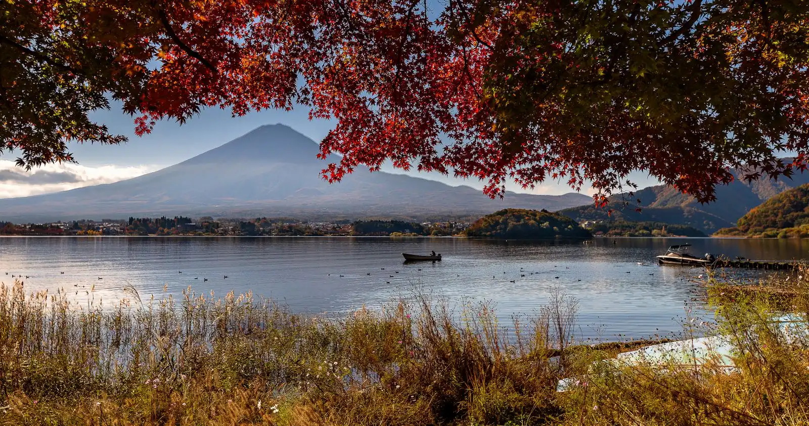Red maples framing Mt Fuji across Lake Kawaguchi, a rowing boat on the water