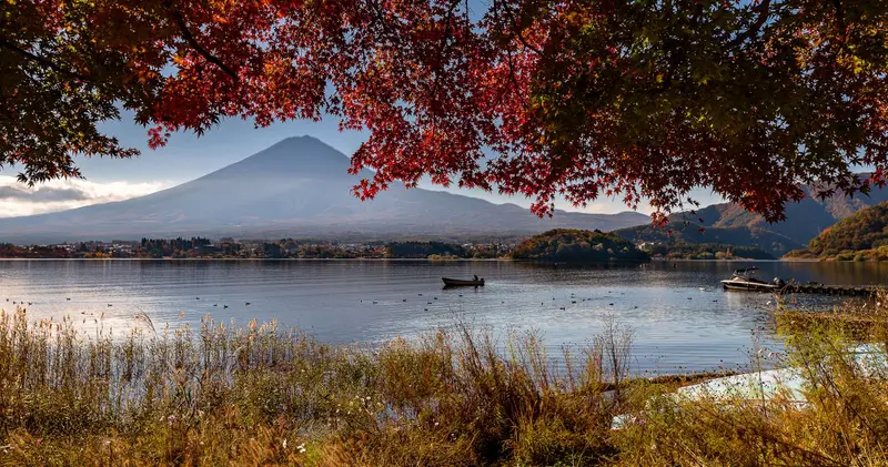 Red maples framing Mt Fuji across Lake Kawaguchi, a rowing boat on the water