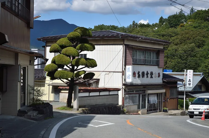 Street corner with a clipped pine tree and an old inn, a mountain behind
