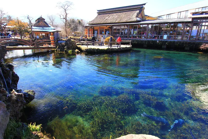 Clear blue spring pond at Oshino Hakkai with trout, thatched house behind