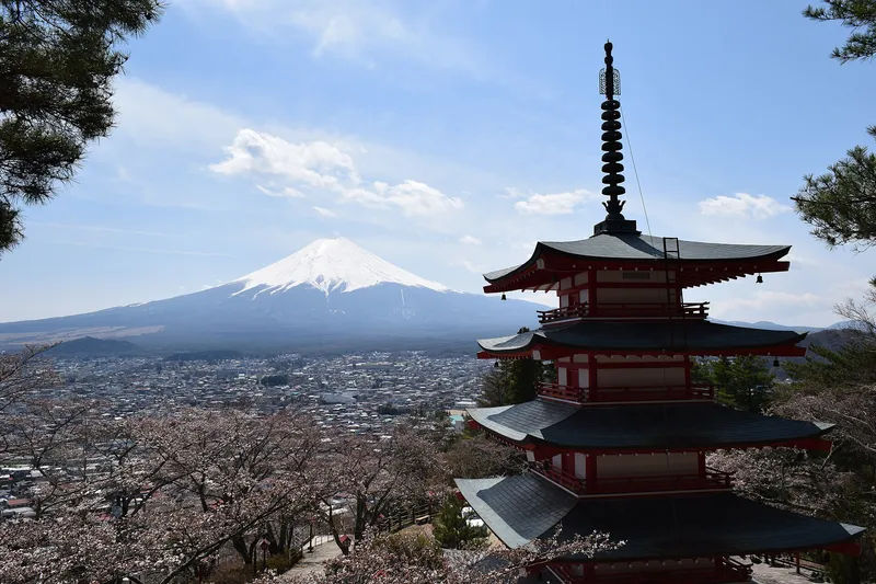 Chureito Pagoda with snow-capped Mt Fuji and Fujiyoshida town behind, cherry trees in bloom