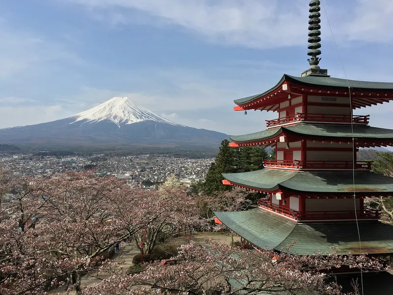 Chureito Pagoda above cherry blossom, Mt Fuji and Fujiyoshida town behind