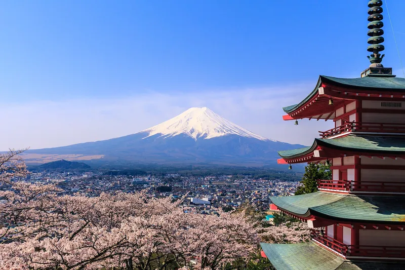 Chureito Pagoda beside full cherry blossom, snow-capped Mt Fuji above Fujiyoshida town