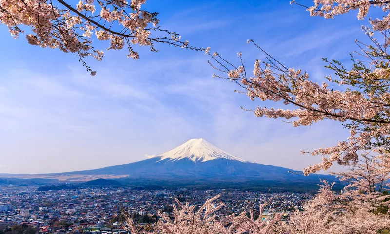Snow-capped Mt Fuji above Fujiyoshida town, framed by cherry blossom