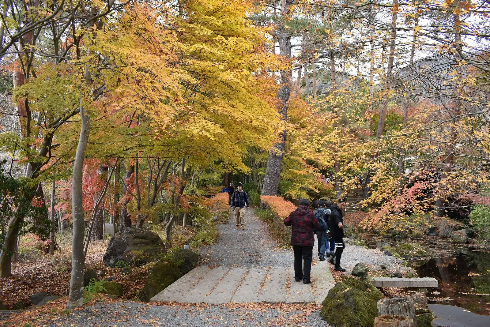 Garden path under yellow and red maples at the Itchiku Kubota Art Museum